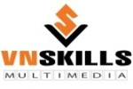 VNskills